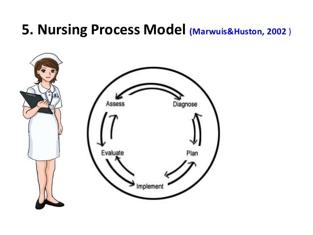 example nursing practice and decision making nurse practitioner decision making